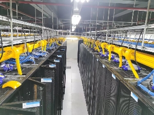 長(zhǎng)沙專業(yè)上門搭建網(wǎng)絡(luò) 建設(shè)機(jī)房 舊機(jī)房升級(jí)改造